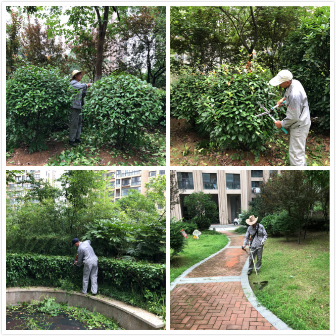 南宫集团(中国区)有限公司官网