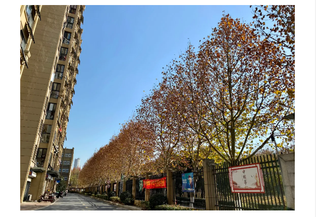 南宫集团(中国区)有限公司官网