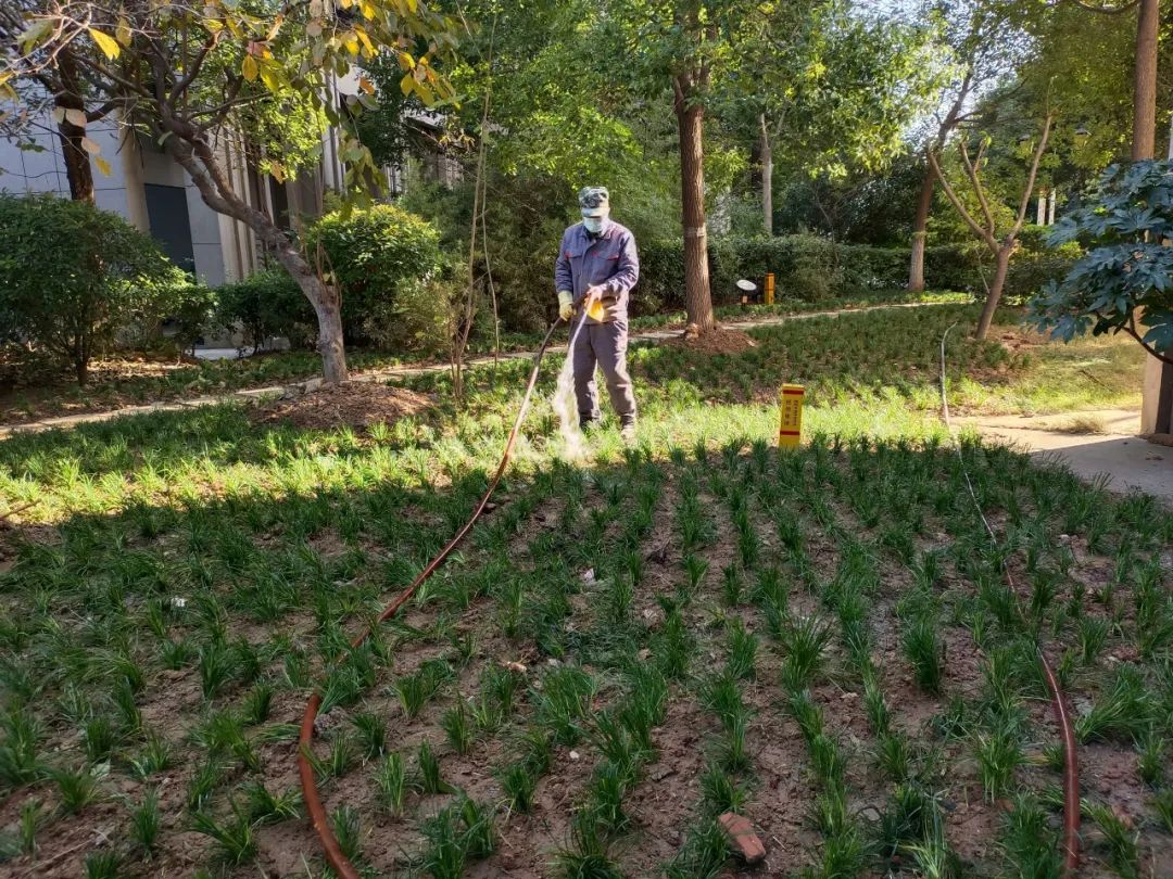 南宫集团(中国区)有限公司官网