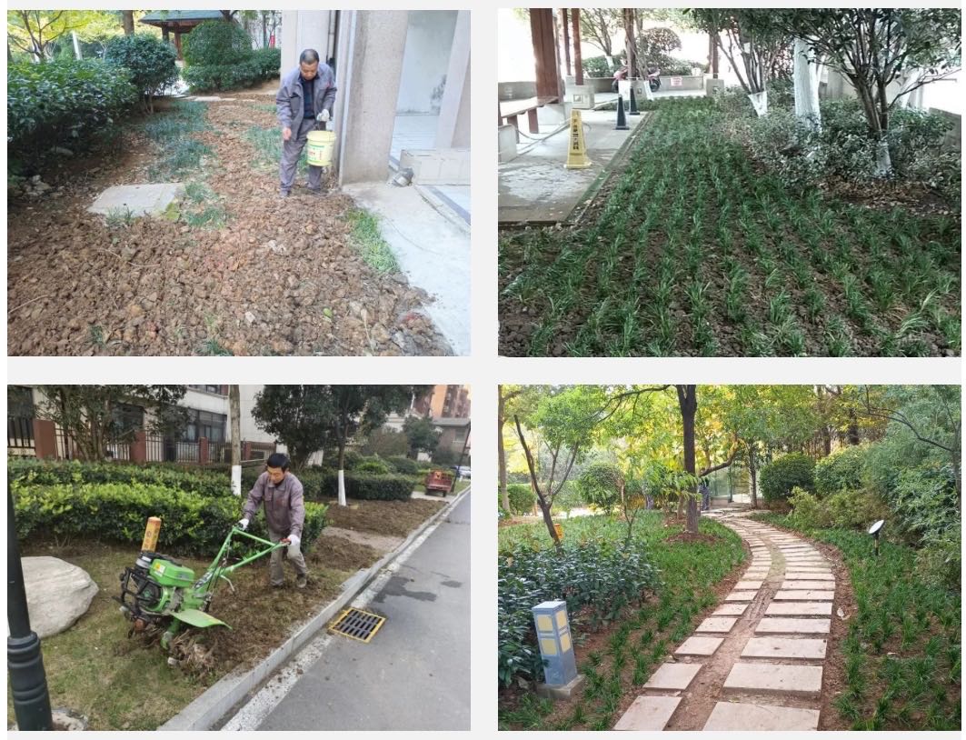 南宫集团(中国区)有限公司官网